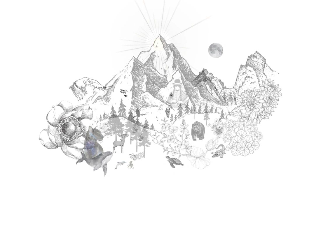 tiffany-hansen-ccht-at-spirit-heart-center